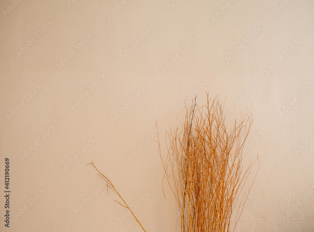 Obraz premium Dry tree with white plaster wall