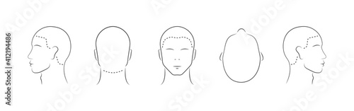Set of human head icons. Lined male head in different angles isolated on white background. Vector illustration