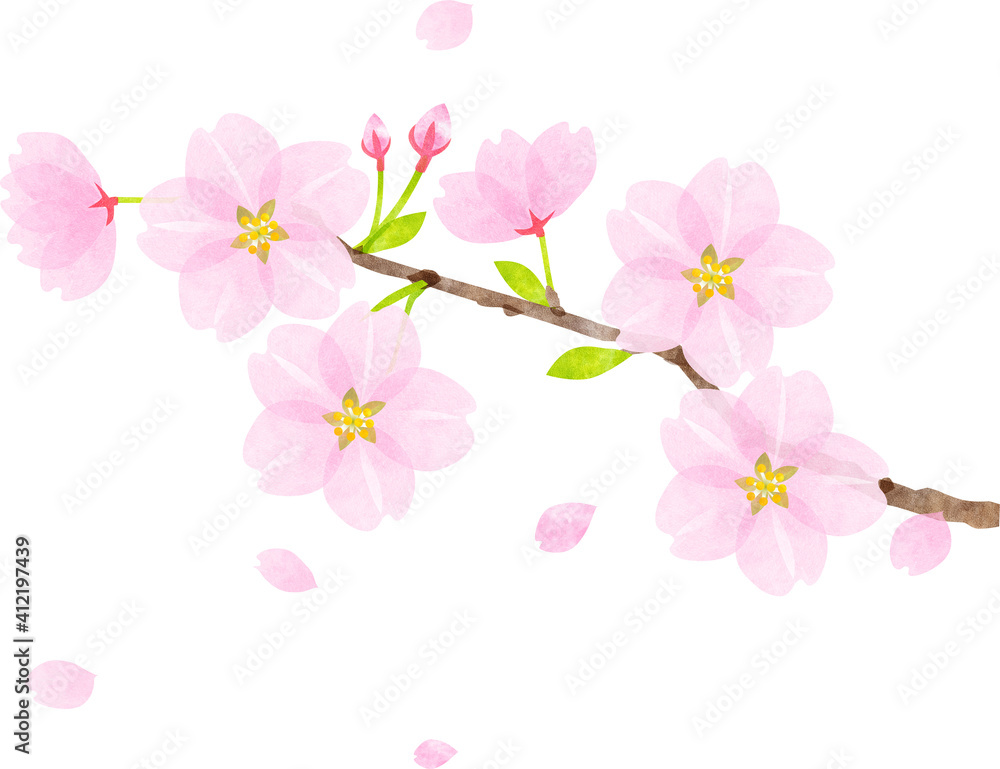 Cherry blossom branch watercolor texture