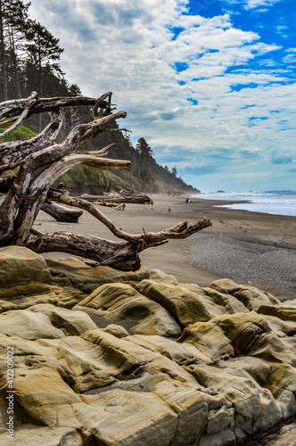 Pebble beach in Olympic National Park  Washington
