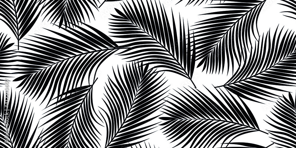 Black tropical palm leaves texture on white backdrop. Seamless vector background. Botanical illustration