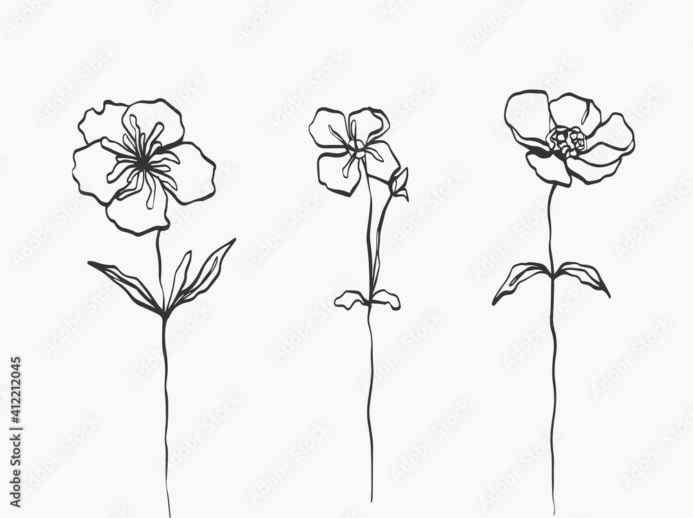 Fototapeta Set flower line art. abstract modern or minimal. perfect for home decor such as posters. vector illustrations design