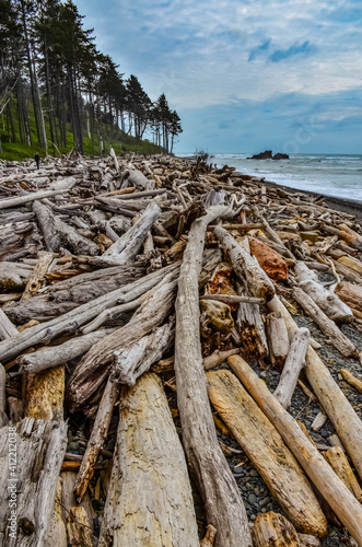Trunks of fallen trees at low tide on the Pacific Ocean in Olympic, National Park, Washington © Oleg Kovtun