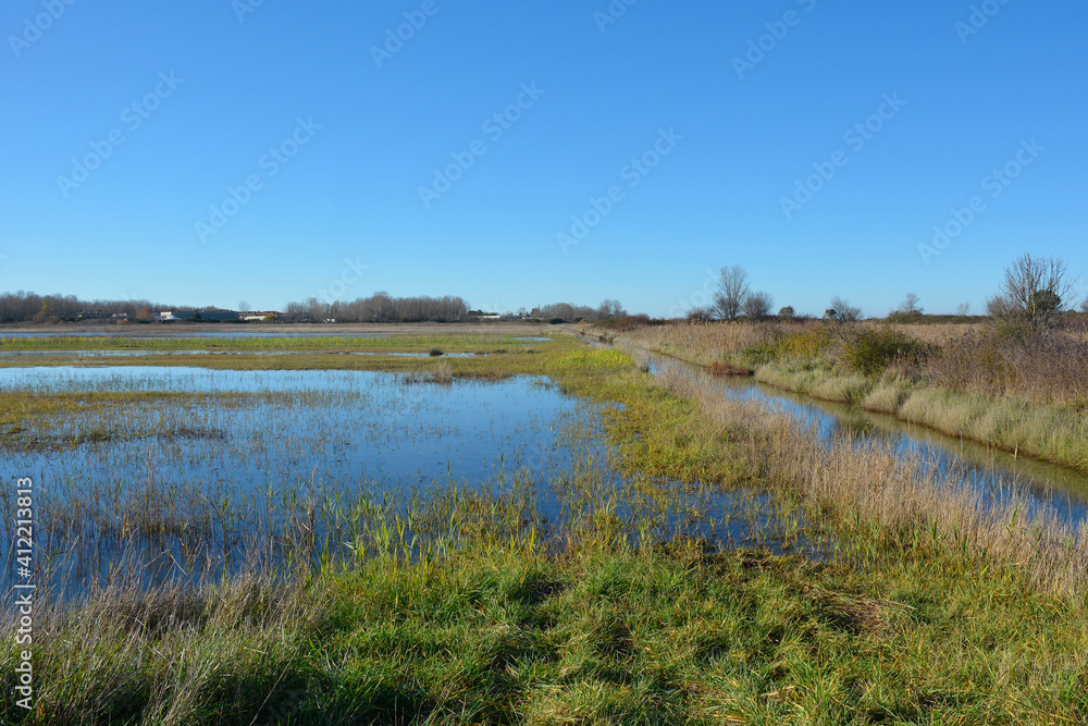 Winter in the wetland lagoon area near Grado, Friuli-Venezia Giulia, north east Italy
