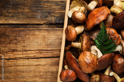 Fresh wild slippery jack mushrooms on wooden table, top view. Space for text
