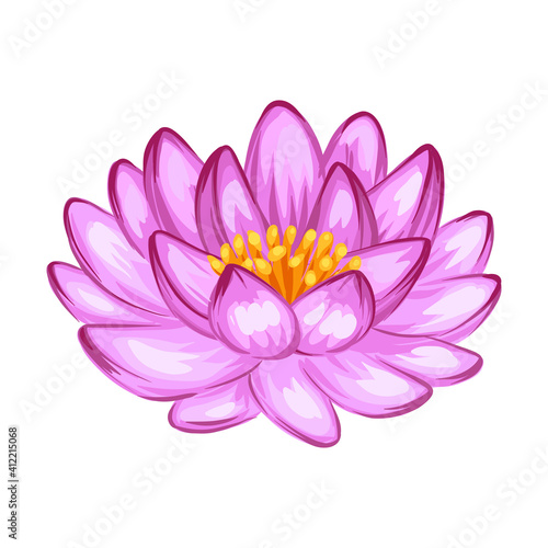 Illustration of lotus flower.