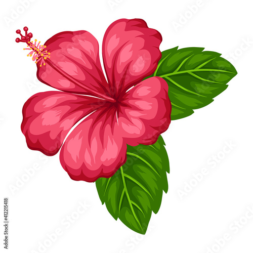 Illustration of tropical hibiscus flower.