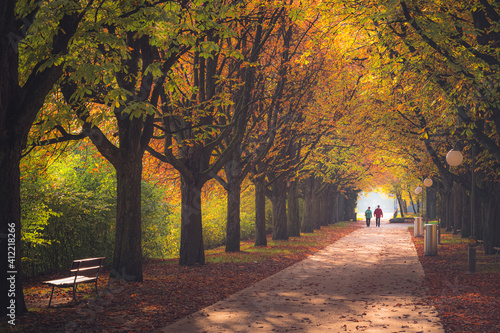 Fotografie A distant silhouette elderly couple enjoy a stroll on a a crisp autumn day at Ufschotti Park in Lucerne, Switzerland