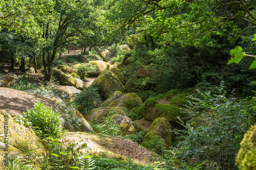 Landscape of Huelgoat with moss covered rocks. Forest like in fairy tales, at Huelgoat, Finistere, France. 