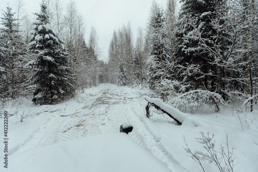 the background of a winter forest, a landscape of fir trees strewn with white snow, an empty road among deep snowdrifts in a blizzard the background of a winter forest, a landscape of fir trees strewn with white snow, an empty road among deep snowdrifts in a blizzard