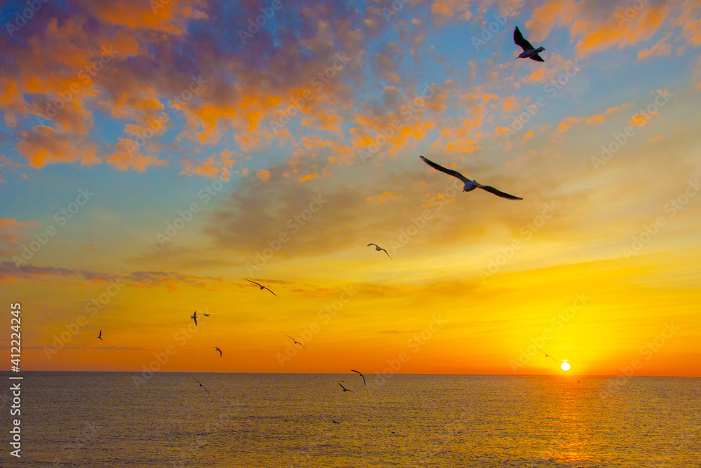 Sunrise over the sea.Gulls over the water at dawn.
