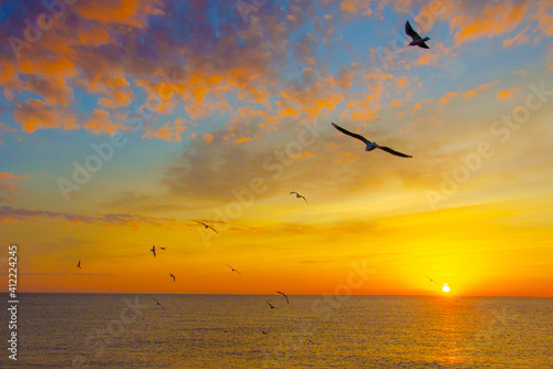 Sunrise over the sea.Gulls over the water at dawn.