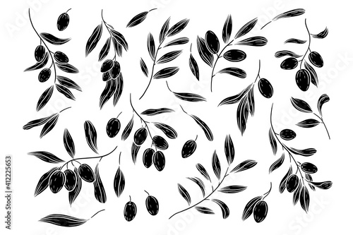 Hand drawn vector olive branches illustration. Isolated black linocut olives clipart. Olives elements set. Graphic block print olives.