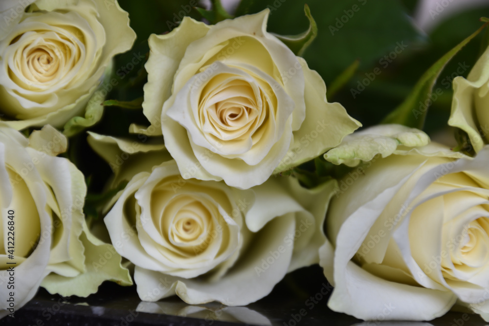 White roses waiting for you White roses waiting for you
