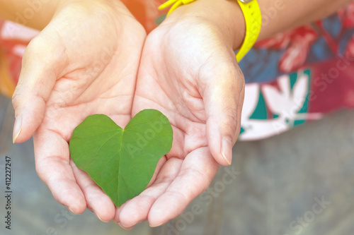 Photography Two hand of woman holding carefully heart shape leaf