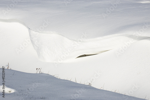 Sneeuwduintje © photoPepp