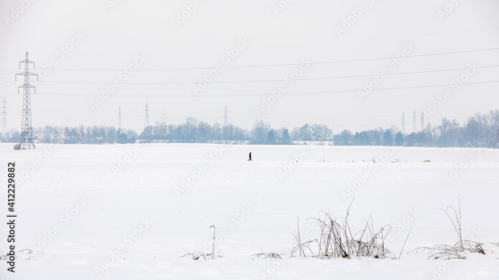 Fototapeta premium snow covered trees in the field