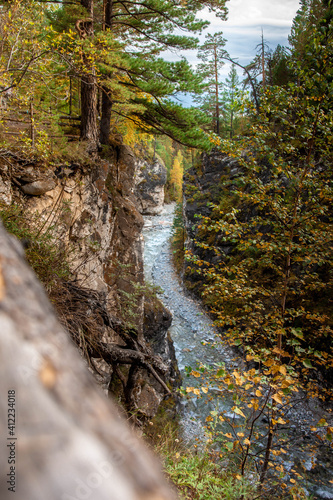 river in the forest