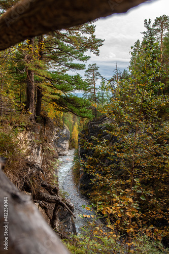 waterfall in the woods