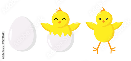 Cute chicken hatching from the egg shell for Easter season or educational illustration for kids. Cartoon baby chick birthday step-by-step process. Flat bird, poultry, farm organic food products design