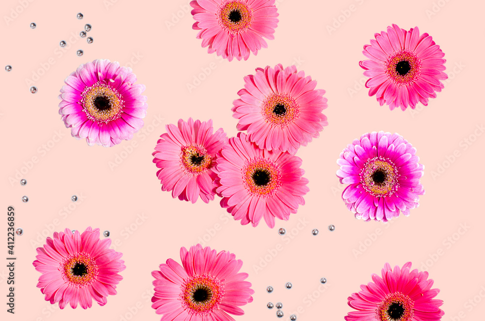 A group of several bright pink gerbera flowers A group of several bright pink gerbera flowers