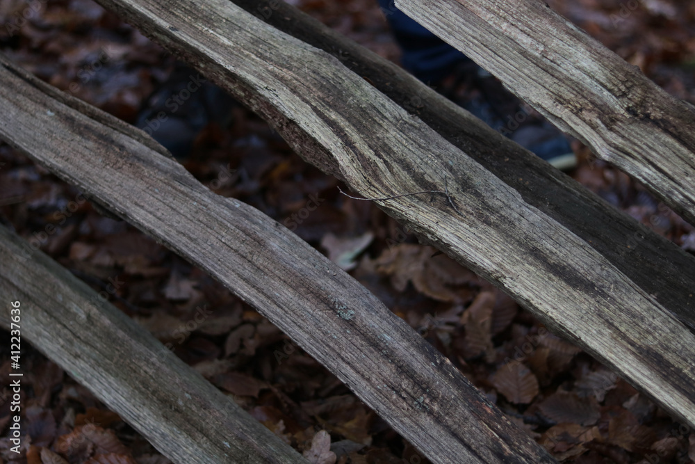 Diagonally placed sticks of wood lying over brown autumn foliage