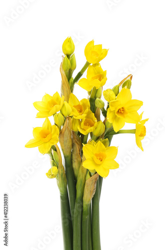 Narcissus flower arrangement © Richard Griffin