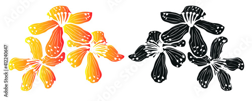 Print of three inflorescences of the medicinal flower of St. John's wort holed in yellow orange shading and black on a white background