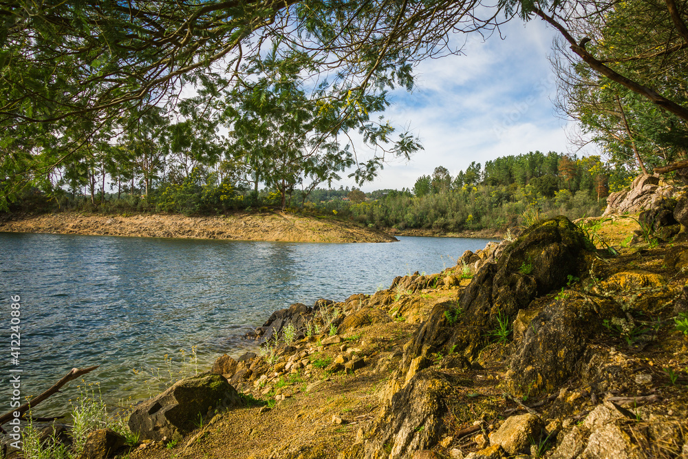 Riverbank with beautiful vegetation in Castelo de Bode water dam, Portugal