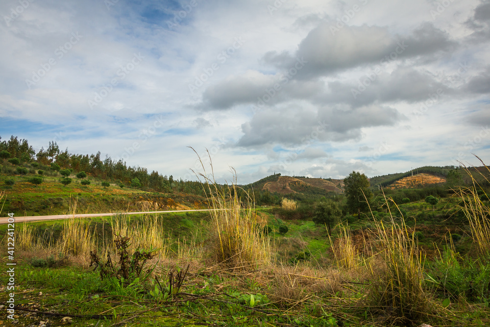 Beautiful landscape view in a winter day at the hills of Castelo de Bode, Portugal