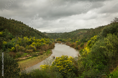 River with beautiful yellow mimosa vegetation in a winter day. Zezere river in Portugal