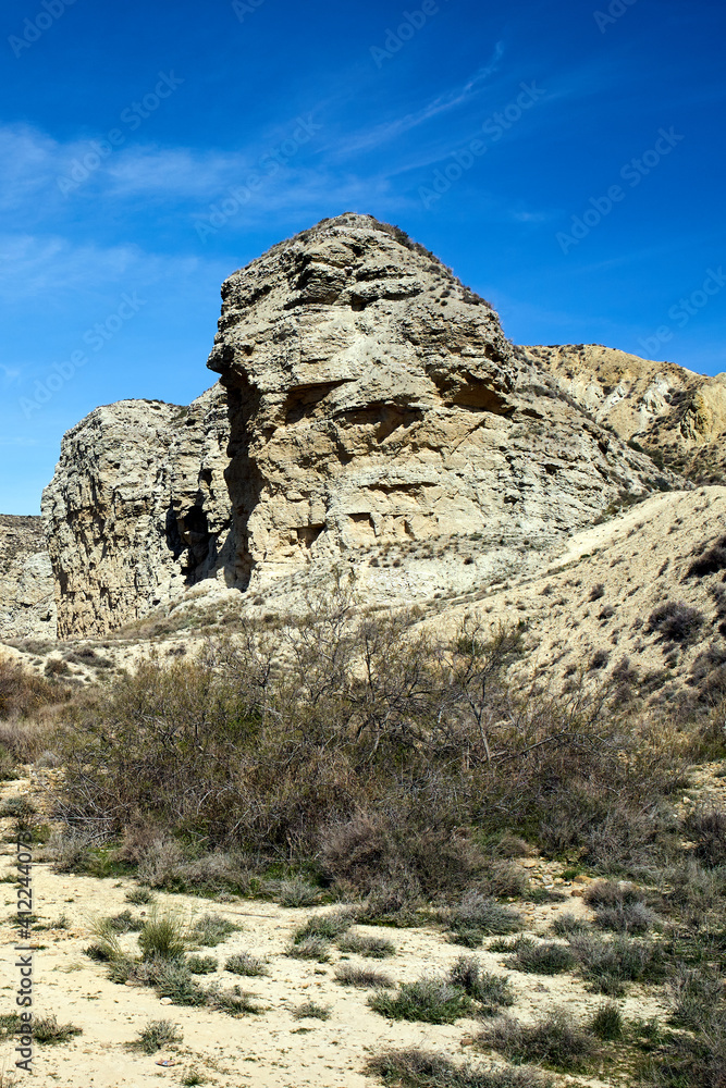 Galacho de Juslibol, unique and singular ecosystem, a protected natural area located next to the Ebro river.