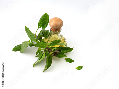 Herbs, basil leaves and essential oils, isolated on white background