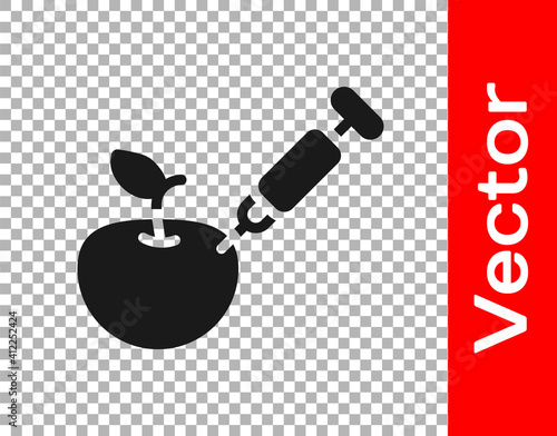 Black Genetically modified apple icon isolated on transparent background. GMO fruit. Syringe being injected to apple. Vector.
