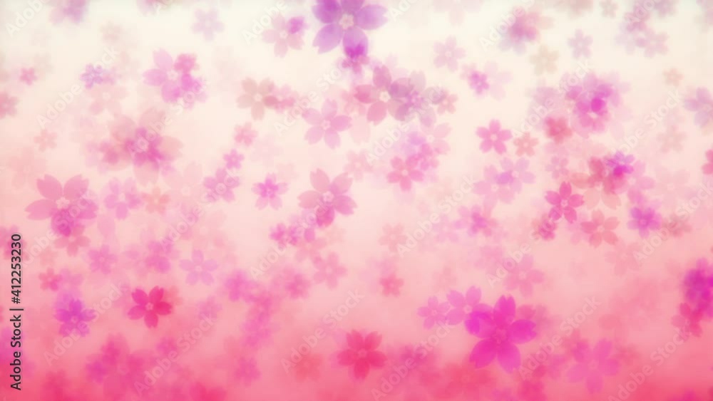 Looping cherry blossom background video Looping cherry blossom background video