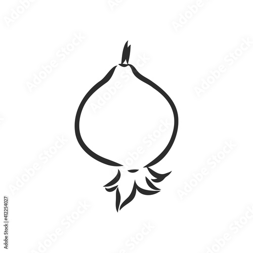 fruit pomegranate set hand drawn vector illustration realistic sketch. garnet vector sketch illustration