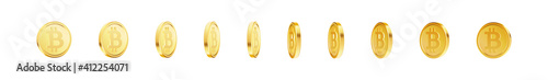 Golden cryptocurrency crypto cash, money set. Bitcoin coins