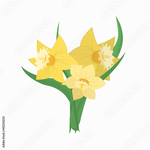 bouquet of yellow daffodils on a white background, spring illustration