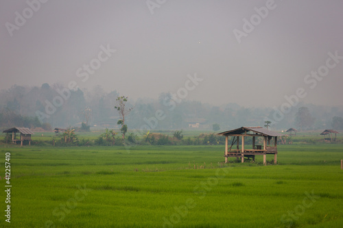 Green rice field with thai traditional wooden hut at Rice Terraces.