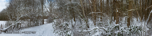 Forest. Snow and frost. Winter at Rheebruggen estate Drenthe Uffelte Netherlands © A