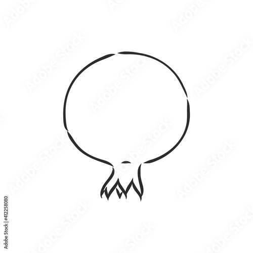 fruit pomegranate set hand drawn vector illustration realistic sketch. garnet vector sketch illustration