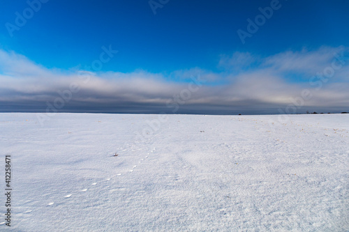 beautiful snow-covered fields with trees in the background