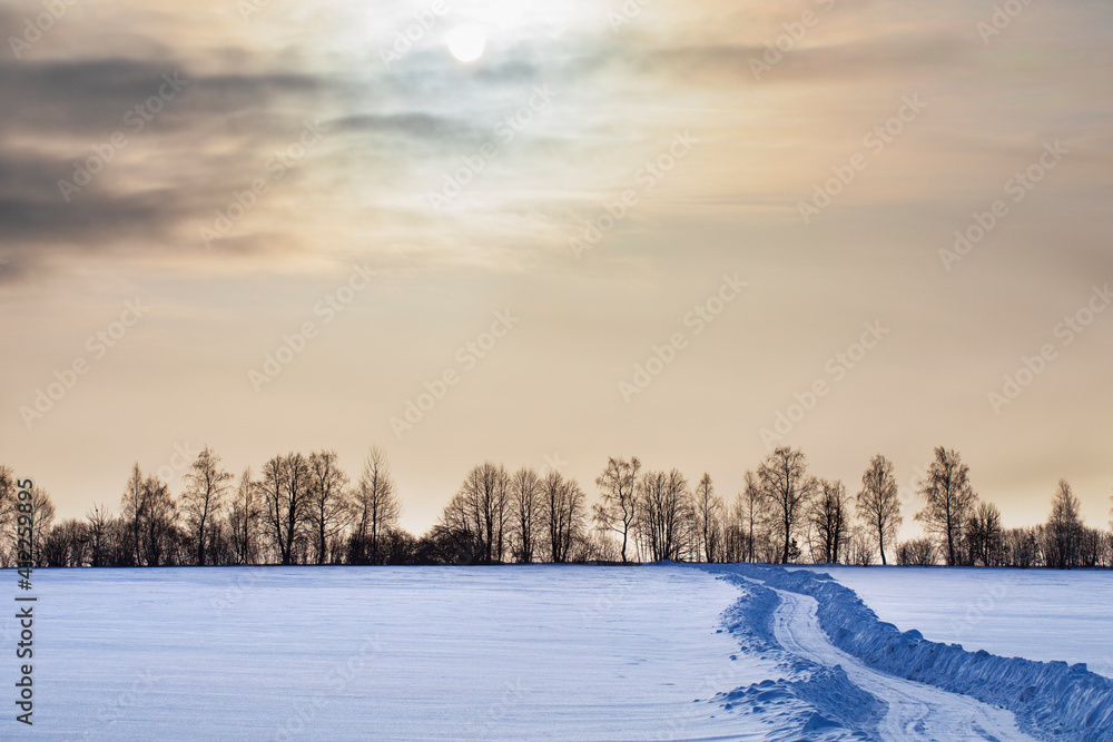 beautiful snow-covered fields with trees in the background beautiful snow-covered fields with trees in the background