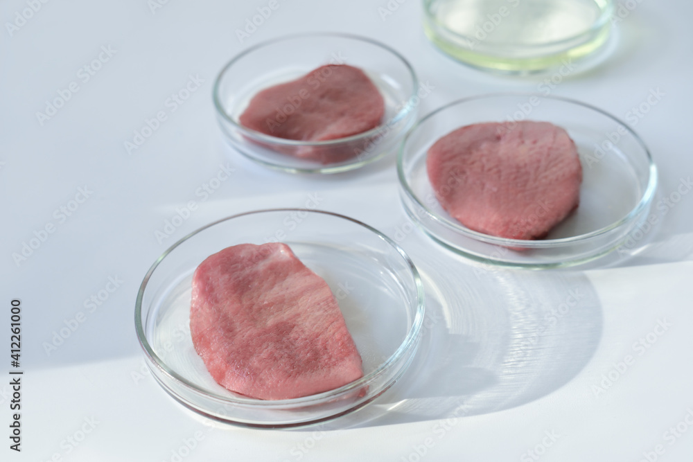 lab gown meat in a Petri dish. Meat in glass cell culture dish. in vitro cultured flesh. animal somatic cells experiments. new protein source. lab gown meat in a Petri dish. Meat in glass cell culture dish. in vitro cultured flesh. animal somatic cells experiments. new protein source.