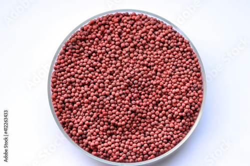 Red neonicotinoid seed treatment in rapeseed or canola seeds, harmful to bees , ban neonicotinoids. Chemically treated seeds.