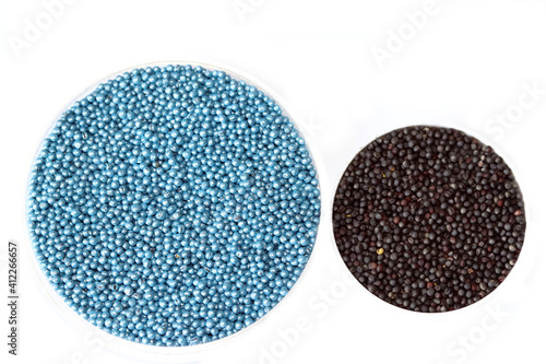 Blue neonicotinoid seed treatment in rapeseed or canola seeds, harmful to bees , ban neonicotinoids. Chemically treated seeds and black rapeseed seeds without seed treatment.