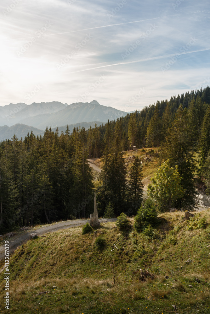 Berglandschaft am Edelsberg in den Allgäuer Alpen