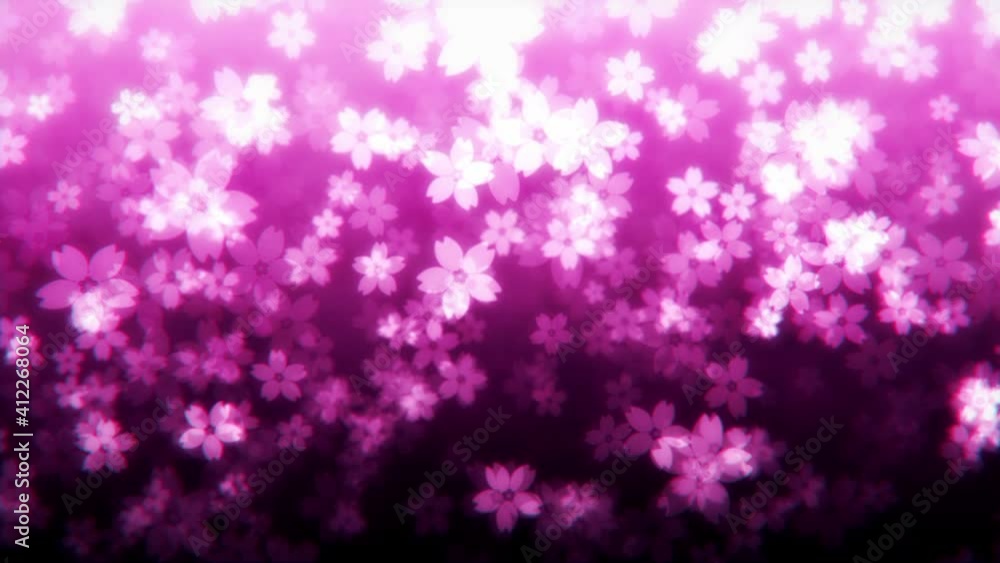 Looping cherry blossom background video