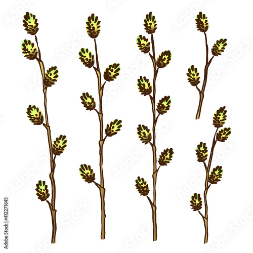 Spring Easter vector set with willow branches. Plant attribute of the Christian Easter.