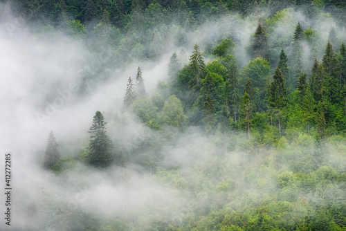 Obraz na płótnie Foggy forest in the mountains. Landscape with trees and mist. Landscape after rain. A view for the background. Nature image w salonie
